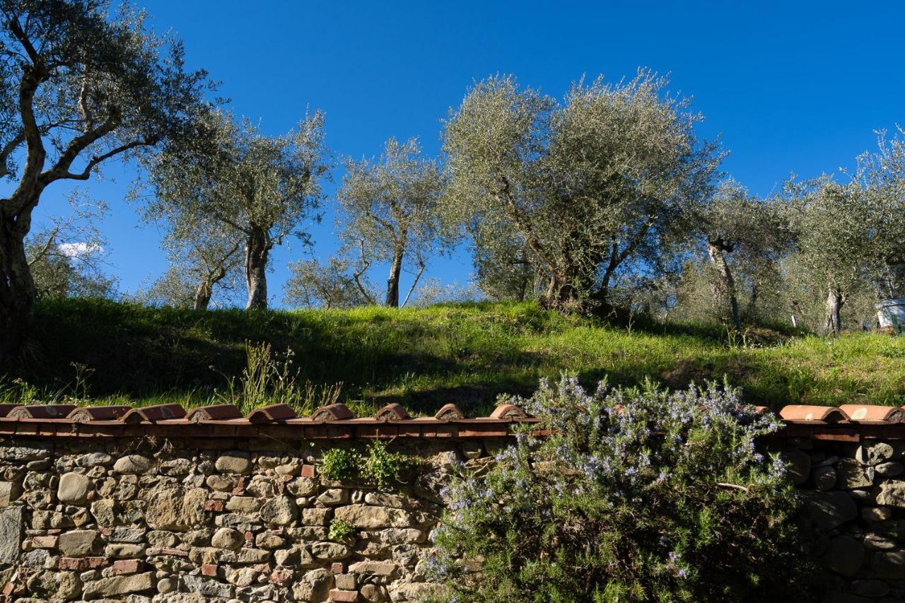 Alloggi In Villa Storica Pescia Dış mekan fotoğraf