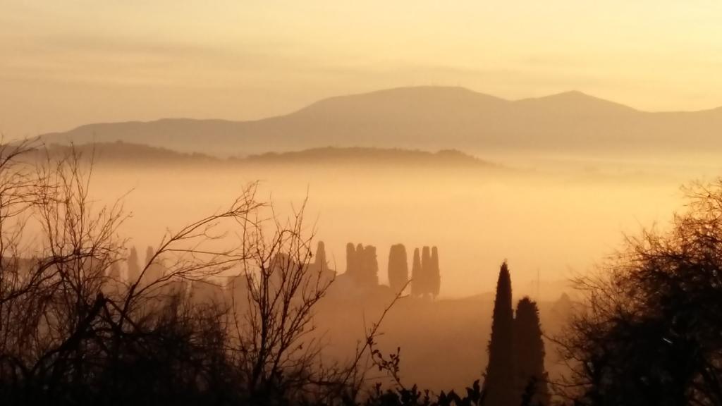 Alloggi In Villa Storica Pescia Oda fotoğraf
